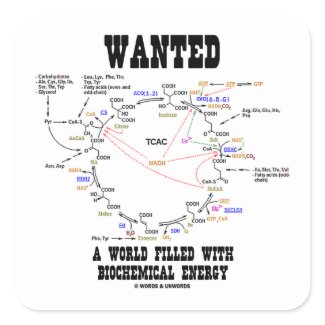Wanted A World Filled With Biochemical Energy sticker