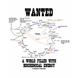 Wanted A World Filled With Biochemical Energy shirt