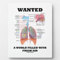 Wanted A World Filled With Fresh Air (Respiratory) Plaque