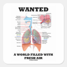 Wanted A World Filled With Fresh Air (Respiratory) Sticker