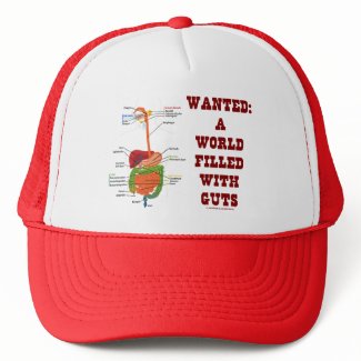 Wanted A World Filled With Guts (Digestive System) hat