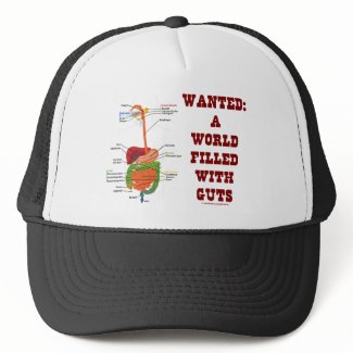Wanted A World Filled With Guts (Digestive System) hat