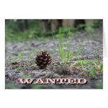 WANTED cards