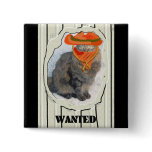 Wanted Cat