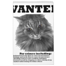 Wanted Cat Calendar