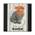 Wanted Cat magnets