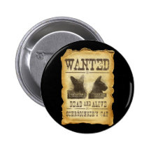Wanted dead and alive.  Schroedinger's cat. Pinback Buttons