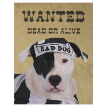 Wanted dead or alive flyers