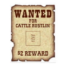 Wanted for Cattle Rustlin Poster posters