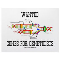 Wanted Genes For Geneticists (DNA Replication) letterhead by wordsunwords Wanted Genes For Geneticists (DNA Replication) letterhead