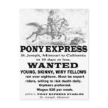 Wanted Pony Express Rider Postcard