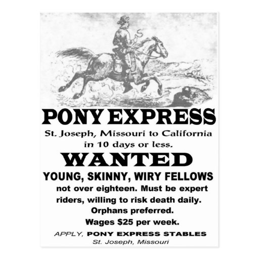 Wanted Pony Express Rider Postcard Zazzle