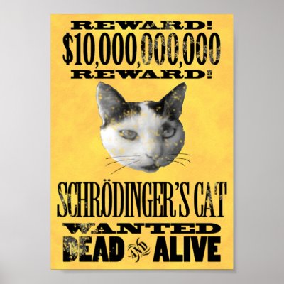 WANTED: SCHRODINGER'S CAT poster by Cubist
