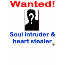 WANTED! Soul Intruder and heart stealer t-shirts