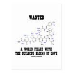 Wanted World Filled Building Blocks Love Oxytocin Post Card