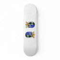 Wapen van Heerenveen, Netherlands skateboards