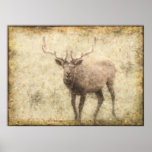 Wapiti Art Sketch on aged paper-effect Wildlife posters