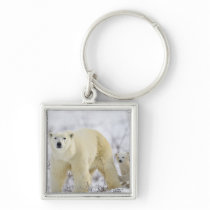 Wapusk National Park, Canada. Key Chain