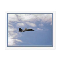 War Bird Post Card