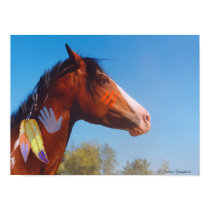War Pony, Print.