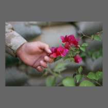 War Zone Beauty posters