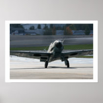 Warbird - Bf-109 posters