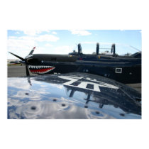 Warbird posters