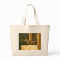 Warbler Chow Time Bags