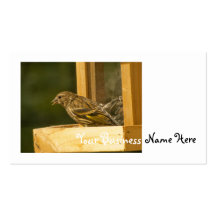 Warbler Chow Time Business Card