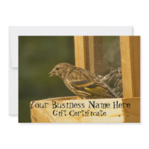Warbler Chow Time; Gift Certificate Custom Invite