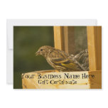 Warbler Chow Time; Gift Certificate Custom Invite