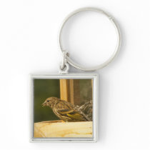 Warbler Chow Time Key Chain