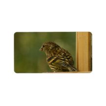 Warbler Having a Rest Address Label
