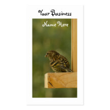 Warbler Having a Rest Business Card Template