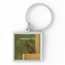 Warbler Having a Rest; Customizable Keychain