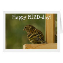 Warbler Having a Rest; Happy Birthday Cards