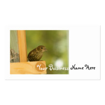 Warbler Having a Snack Business Card Templates