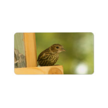 Warbler Having a Snack Custom Address Label