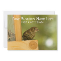 Warbler Having a Snack; Gift Certificate Custom Invites