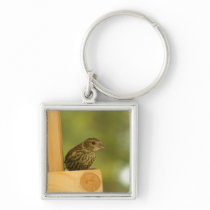 Warbler Having a Snack Keychain