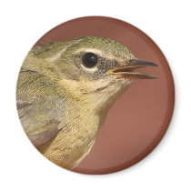 Warbler Refrigerator Magnet