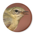 Warbler magnets
