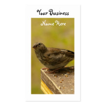 Warbler on a Snacky Perch Business Card