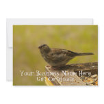 Warbler on a Snacky Perch; Gift Certificate Personalized Announcements