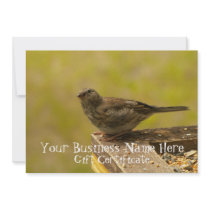 Warbler on a Snacky Perch; Gift Certificate Personalized Announcements