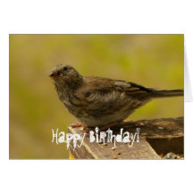 Warbler on a Snacky Perch Greeting Card