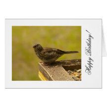 Warbler on a Snacky Perch Greeting Card