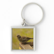 Warbler on a Snacky Perch Key Chain