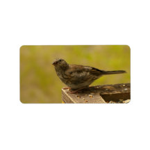 Warbler on a Snacky Perch Personalized Address Label