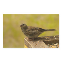 Warbler on a Snacky Perch Rectangle Sticker